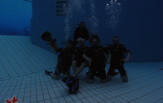 2014 - Mitgliedertauchen