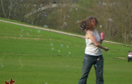 2009 - Osterdosen Suche