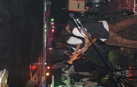 Domestication of Bagdad