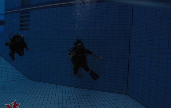 2014 - Mitgliedertauchen