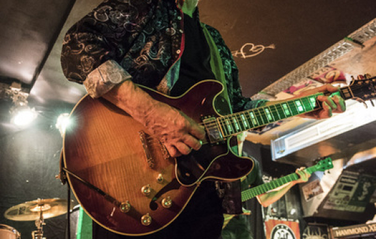 2015 - The Mutants, Bevis Frond, Nektar