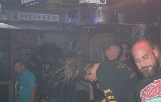 Domestication of Bagdad