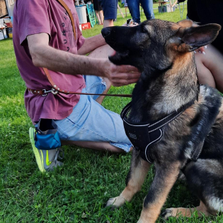 signal-2021-06-27-140349 (7).jpg