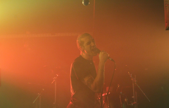 Domestication of Bagdad